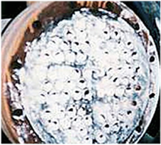 WärmetauscherMitKalk